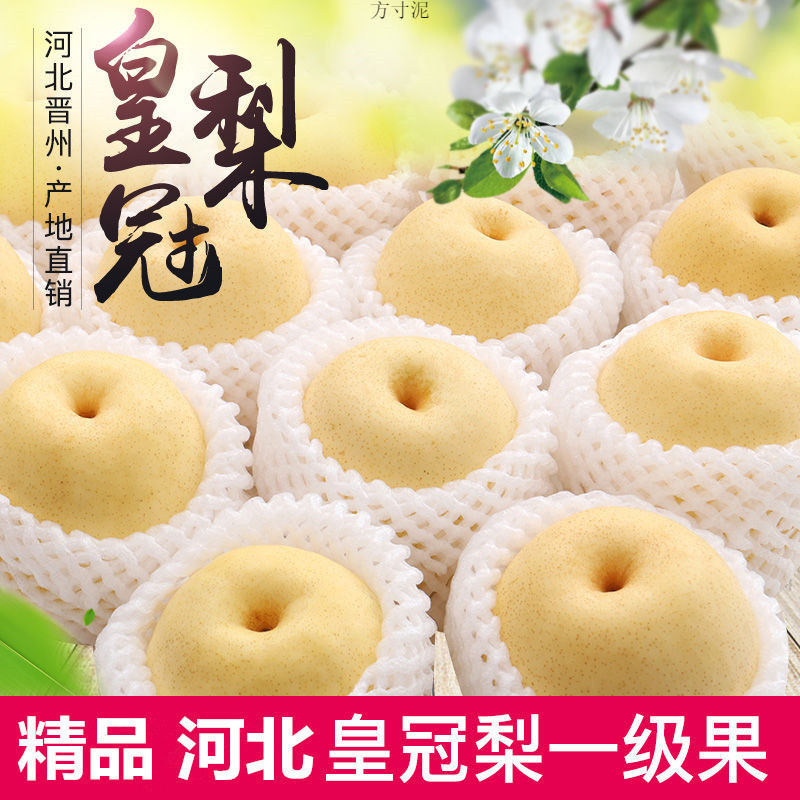 9b622d02-78a2-44fb-890a-7e848af8e484.jpg?x-oss-process=image/format,png