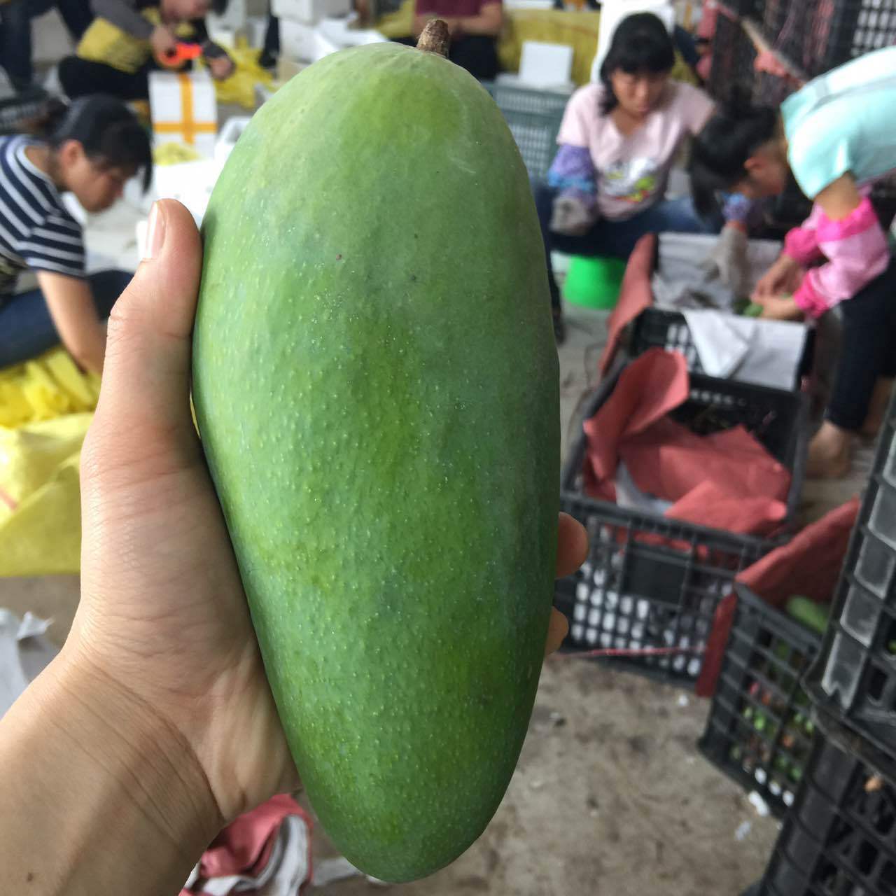 微信图片_20170412010822