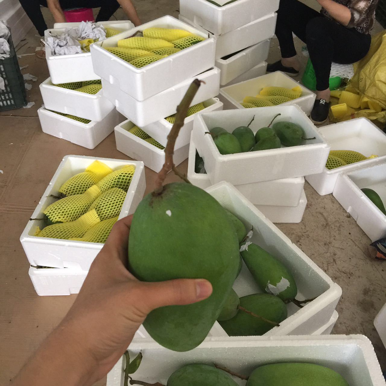 微信图片_20170409235657