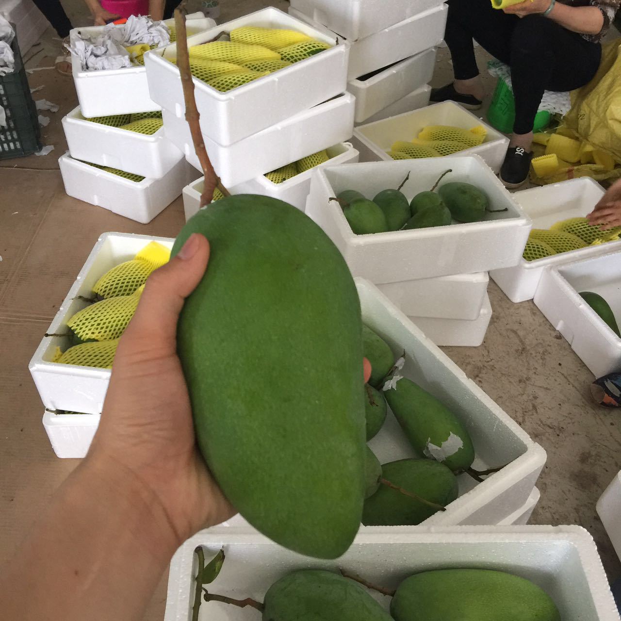 微信图片_20170409235702