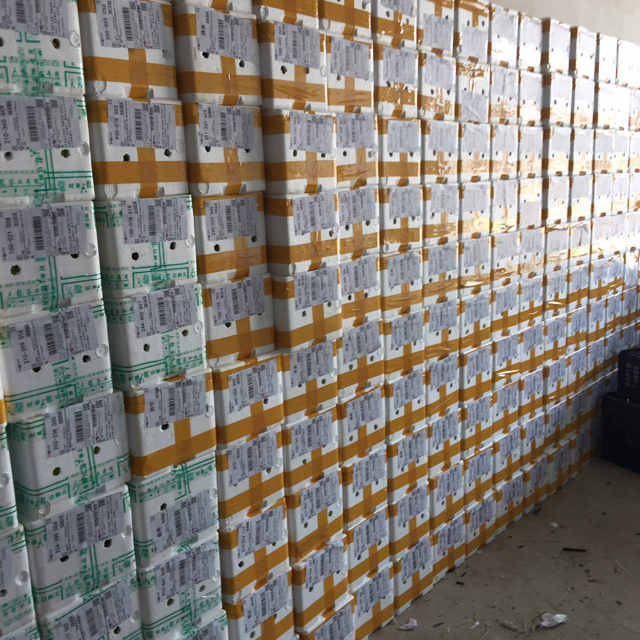 微信图片_20170412010832