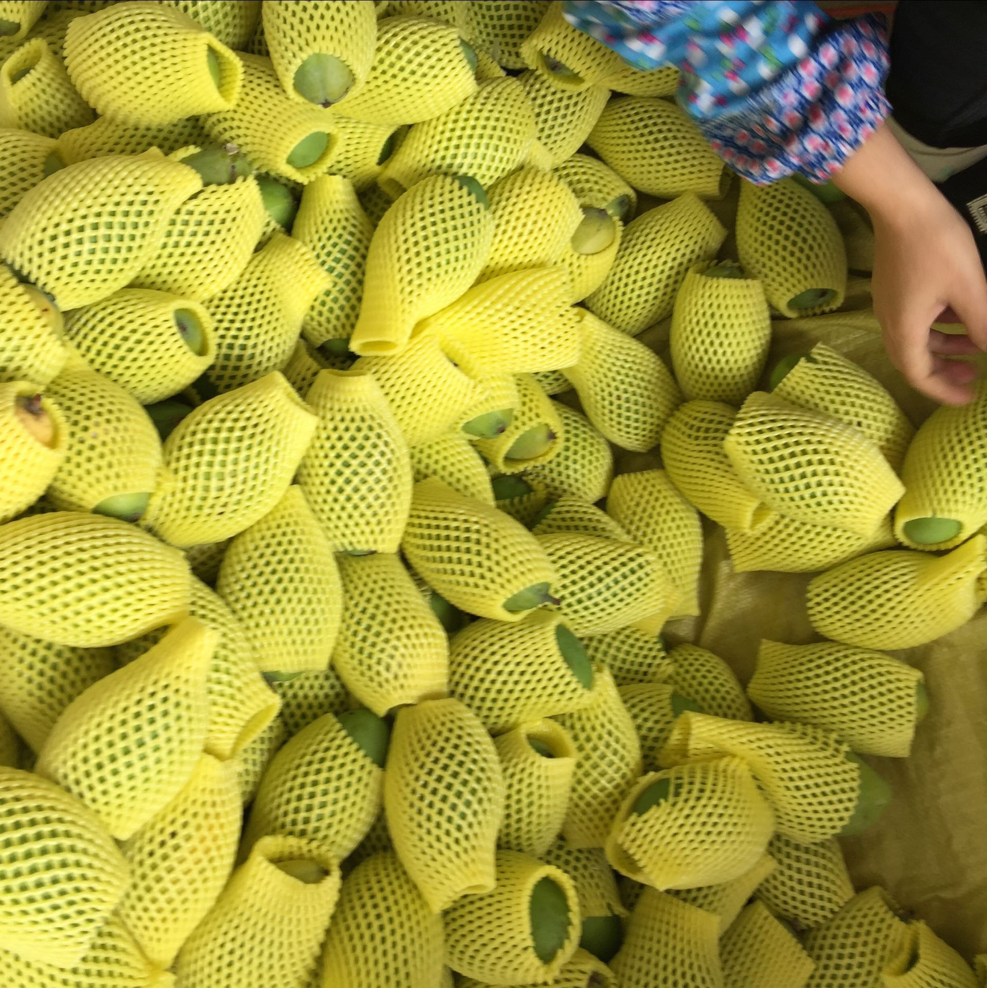 QQ图片20170301123335