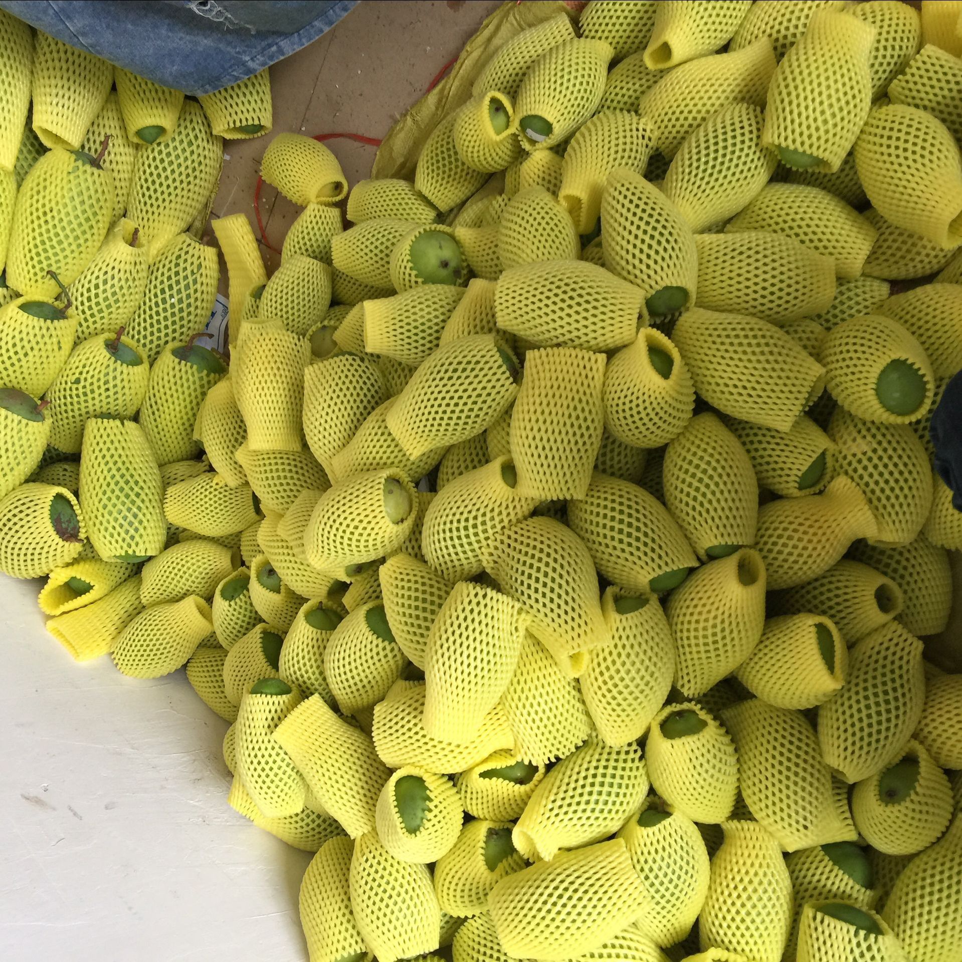 QQ图片20170301123345