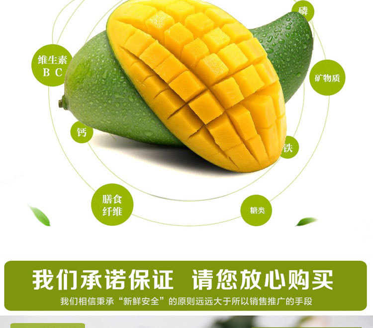 TB20IJ1XIIa61Bjy0FiXXc1XpXa_!!