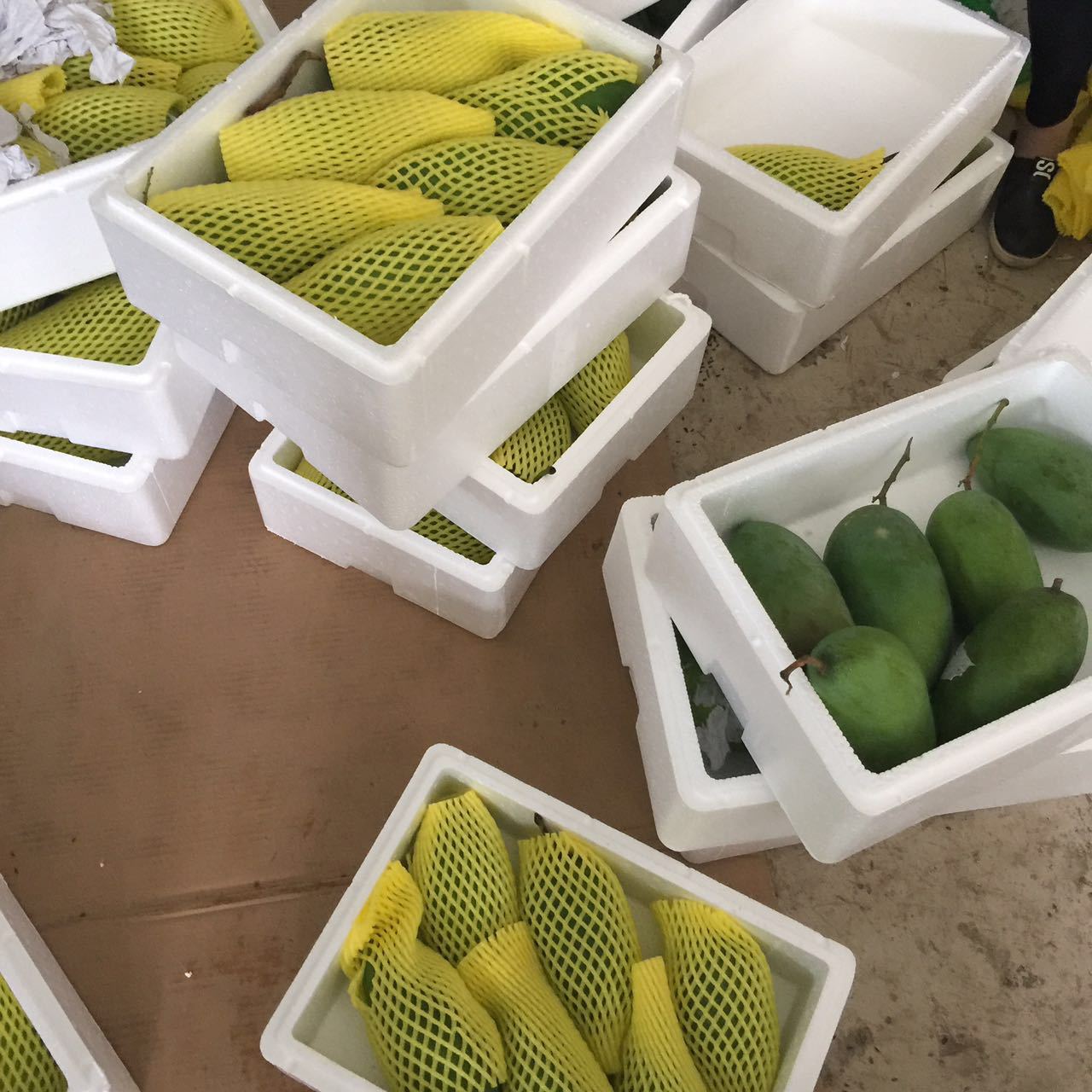 微信图片_20170409235705