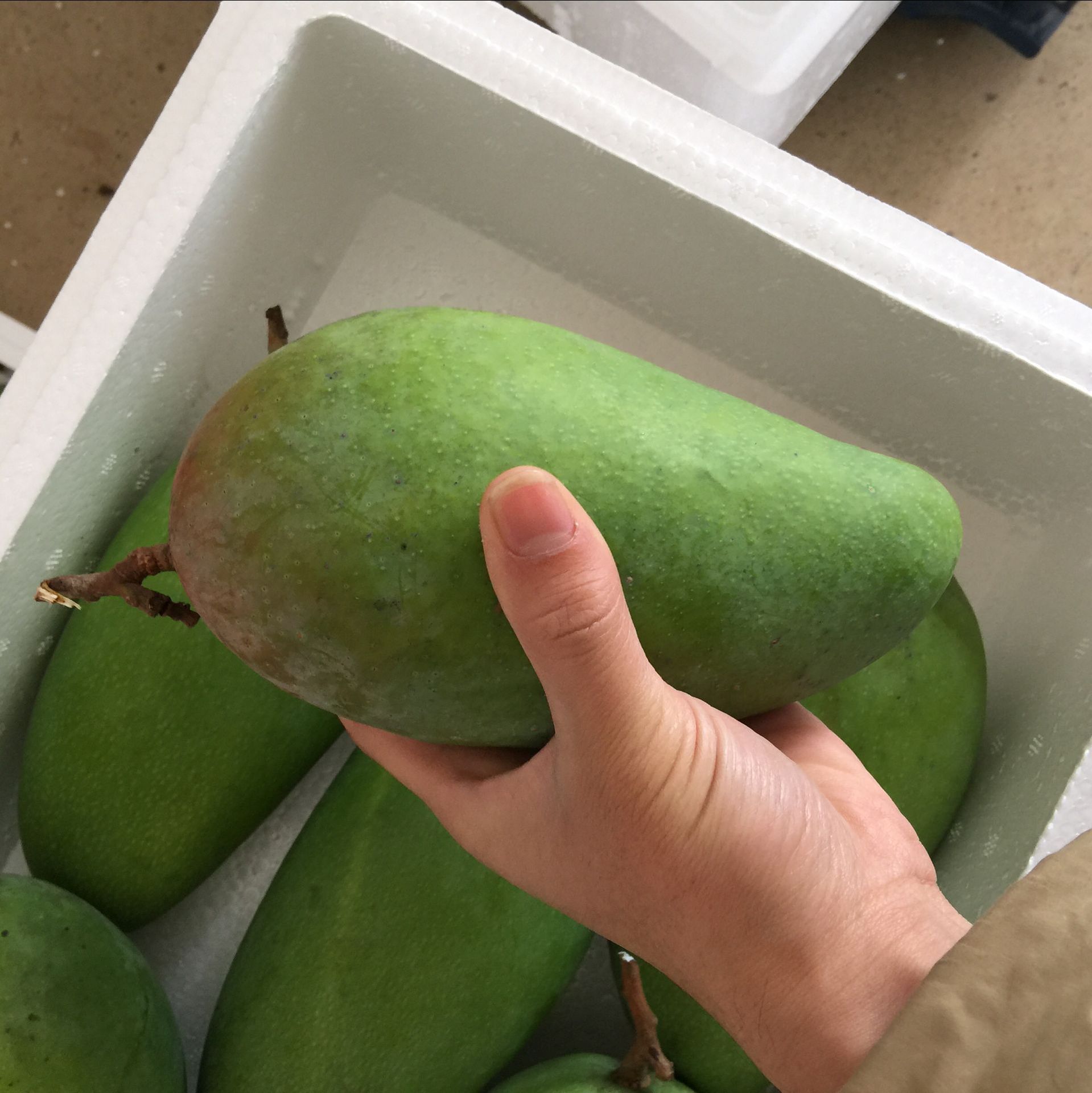 QQ图片20170301123352