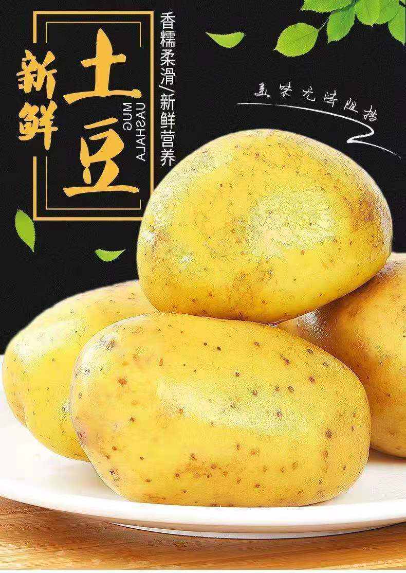 gWmWivOiz9St5JawZAY2YHmEGJMTGSI8UTm0