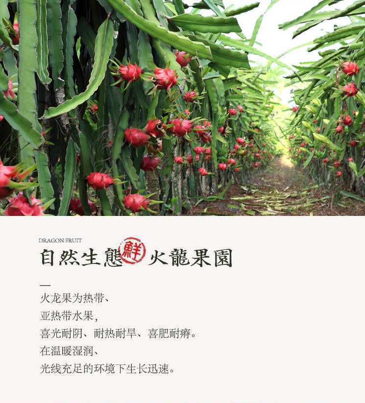 d4547a36-84f9-45a7-9a79-80d1900a4354.jpe