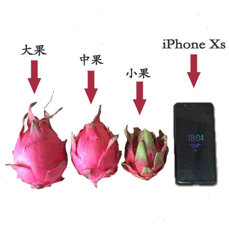 73fdef93-994f-406d-949e-3126767b3f26.jpe