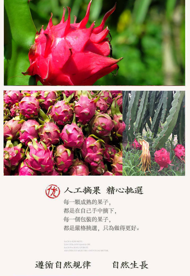 50bc3a93-a4db-4473-8dbc-e978a668a26b.jpe