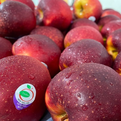 广州江南批发直发【顺丰】新西兰太平洋红玫瑰苹果NZQUEEN4122脆