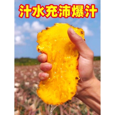 正宗超甜海南金钻凤梨9斤应当季新鲜水果香水菠萝手撕甜凤梨整箱