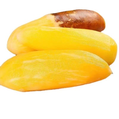 2025云南高原仙果当季新鲜水果天山雪莲现发挖果现脆甜雪中雪莲果