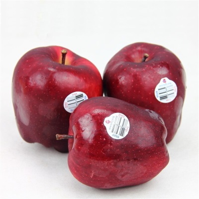 广州江南批发直发【顺丰】美国进口红蛇果大果水果脆甜苹果特级