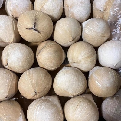 广州江南批发直发【顺丰】泰国进口牛奶椰皇时令椰子奶香天然椰青