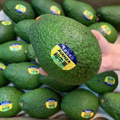 广州江南批发直发【顺丰】巨无霸牛油果新鲜当季水果超大特级