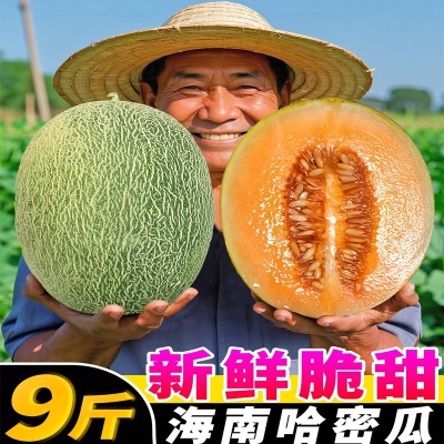 海南哈密瓜新鲜脆甜9斤水果疆西州蜜瓜25号老汉瓜一整箱网纹甜瓜