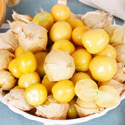 广州江南批发直发【顺丰】云南菇娘果新鲜灯笼果菇凉果当季水果