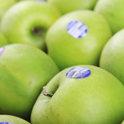 广州江南批发直发顺丰美国进口青苹果孕妇水果Granny Smith青果