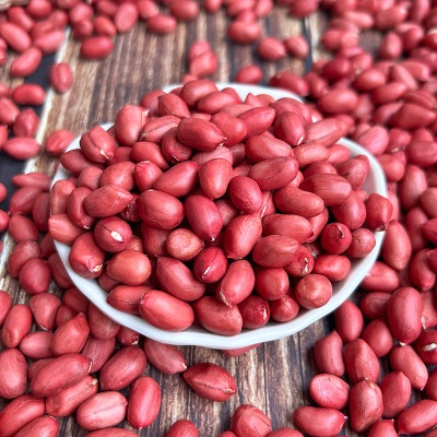 带壳红皮花生2025新货农家新鲜四粒红花生米自然晒干种子生的新货