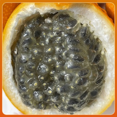 云南西双版纳热情果新鲜水果当季现摘纯甜高端稀有水果