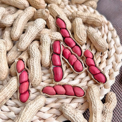 带壳红皮花生2025新货农家新鲜四粒红花生米自然晒干种子生的新货