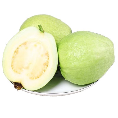 广西白心芭乐白心番石榴脆甜熟后软糯好吃现摘白心绿色食品