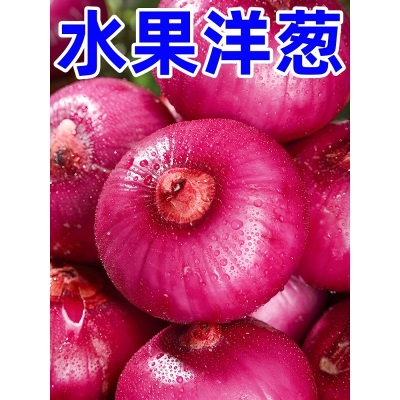 云南紫皮水果大洋葱9斤新鲜小洋葱甜味生吃蔬菜不辣红皮大圆葱头