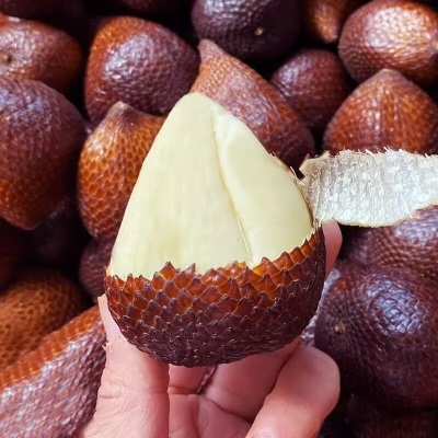 广州江南批发直发【顺丰】印尼蛇皮果新鲜稀奇古怪进口水果1-5斤