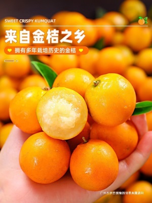 融安小包邮蜜斤当季水果脆皮橘子新鲜金桔纯甜孕妇金柑整箱10广西
