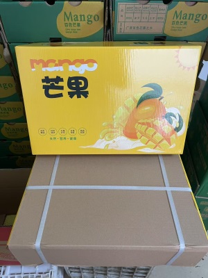 越南品种大青芒果新鲜当季现摘特大整箱青皮水果芒果仓库直发