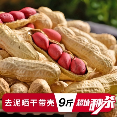 四粒红带壳红皮花生5斤2026新货新鲜干花生米红衣农家自种生花生