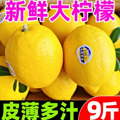 四川安岳黄柠檬新鲜9斤鲜果香水柠檬商用榨汁批发奶茶店专用大果