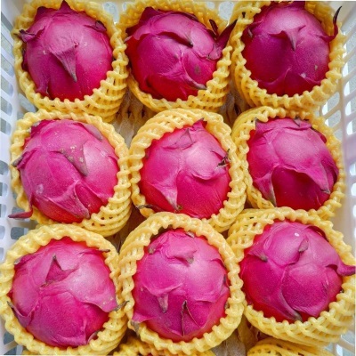 多批发一件整箱红肉蜜宝批发水果新鲜规格一号跨境金都火龙果电商