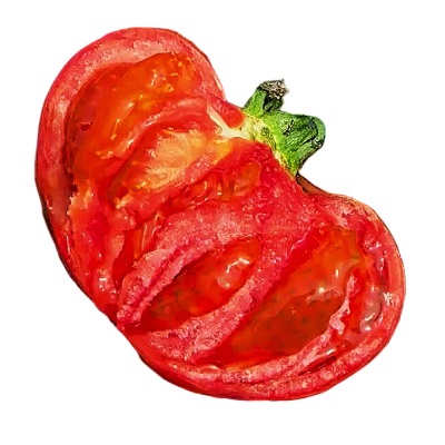 正宗沙瓤西红柿产地直发新鲜现摘精选自然熟生吃好吃整箱番茄农家