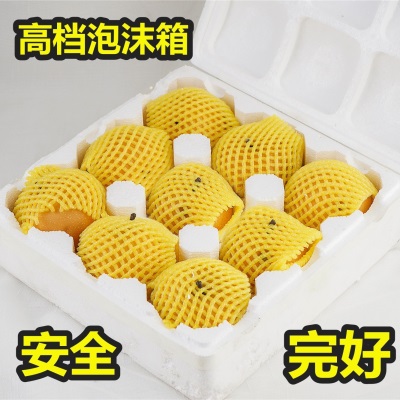 批发莱阳秋月梨新鲜 水果5斤脆甜多汁当季采摘整箱冰糖山东秋月梨