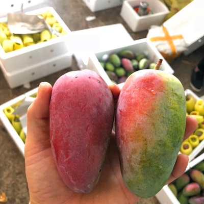贵妃芒新鲜水果海南芒果当季水果红金龙贵妃芒果现摘现发香甜多汁