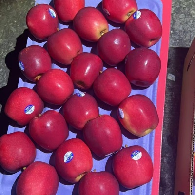 新西兰皇后苹果NZ Queen 红玫瑰苹果4122
