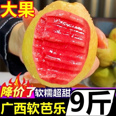 广西软糯奶油红心软芭乐新鲜5斤番石榴当季水果软心巴乐果鸡屎果