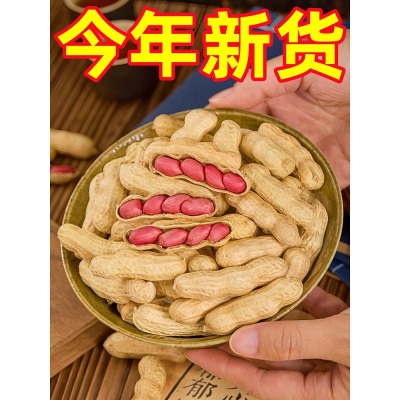 四粒红带壳红皮花生5斤2026新货新鲜干花生米红衣农家自种生花生