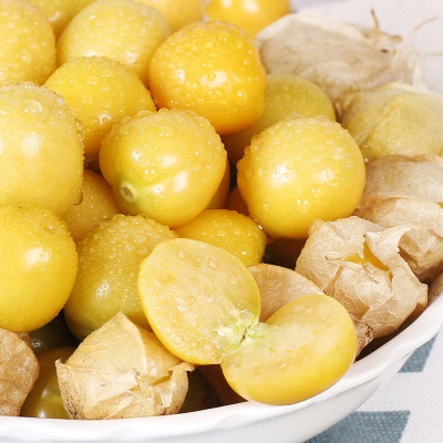 广州江南批发直发【顺丰】云南菇娘果新鲜灯笼果菇凉果当季水果