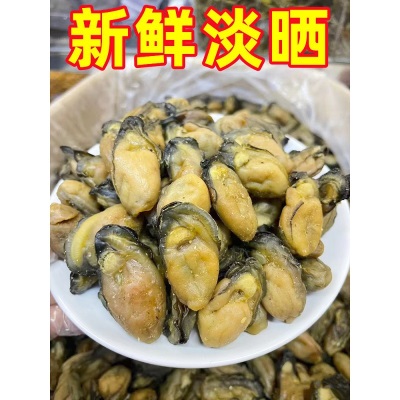广西北海淡晒生蚝干海鲜干货大号海蛎子牡蛎干蚝豉肉海产品特产