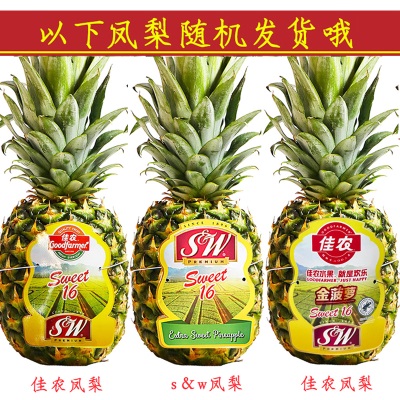 菲律宾金菠萝2个装