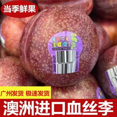 广州江南批发直发【顺丰】智利进口血丝李凤凰李红肉李子香甜可口