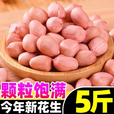 2026今年新货白沙农家生花生米生的粉红皮新鲜下酒菜不带壳生花生