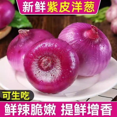 云南紫皮洋葱新鲜脆甜水果洋葱圆葱蔬菜红皮特产农家现挖农家自种
