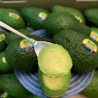 广州江南批发直发【顺丰】巨无霸牛油果新鲜当季水果超大特级