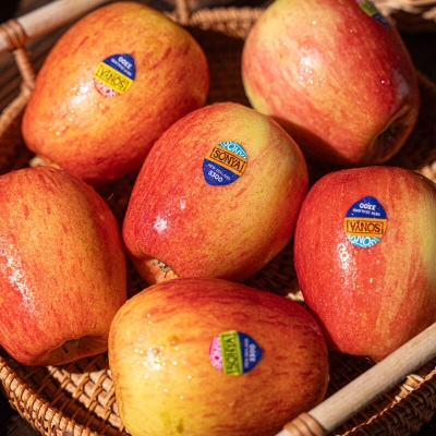 广州江南批发直发【顺丰】新西兰进口索尼娅苹果SONYA苹果脆甜