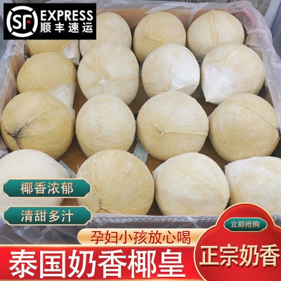 广州江南批发直发【顺丰】泰国进口牛奶椰皇时令椰子奶香天然椰青