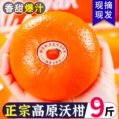 云南高原沃柑新鲜桔子水果9斤橘子当季皇帝蜜柑橘砂糖桔武呜整箱